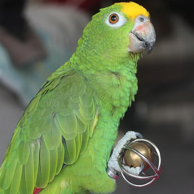 Fosrion Heavy Duty Stainless Steel Bird Toy for Small and Medium-sizid Parrots - Chew-Proof Foraging Ball with Bell for Macaws, Cockatoos, African Greys (Small)
