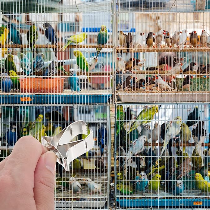 ULTECHNOVO Birds Food Holders, Food Vegtable Fruits Holder Bird Feeder Cage Birds Feeder Devices Clip Vegetables for Cockatiel Bird Parrot Hamster 5Pcs