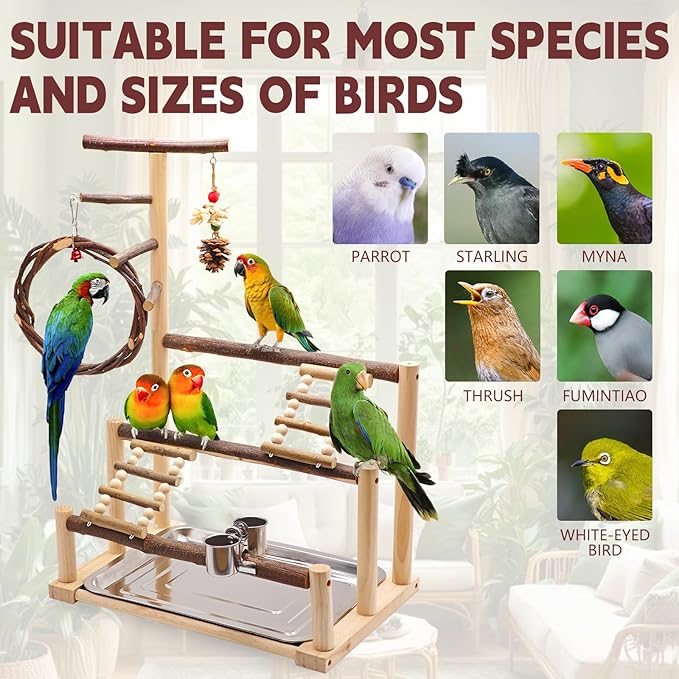 Bird Playground, Natural Wooden Parrot Stand Suitable for Small and Medium Birds, with Feeding Cups, Swing, Chew Toys,Bird Perch Ideal for Parakeets, Budgerigars,Canaries,Conures