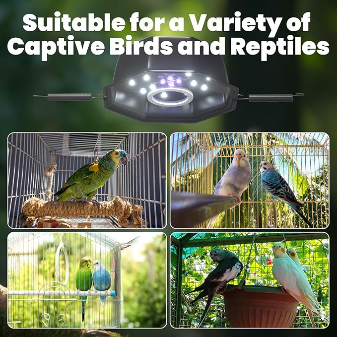 GlowUp 10W Bird Cage Light, Full Spectrum Light for Birds with Chew Guard, UVB2.4 Dimmable Octagonal LED Light Fixture with Plug and Controller, Bird Cage Accessories for Captive Birds Parrots
