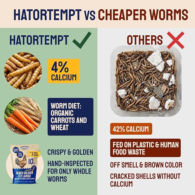 Hatortempt 10lbs Black Soldier Fly Larvae for Chickens - 114X More Calcium Than Mealworms for Chickens - High Protein Worms - Feed Treats for Laying Hens, Quails and Ducks