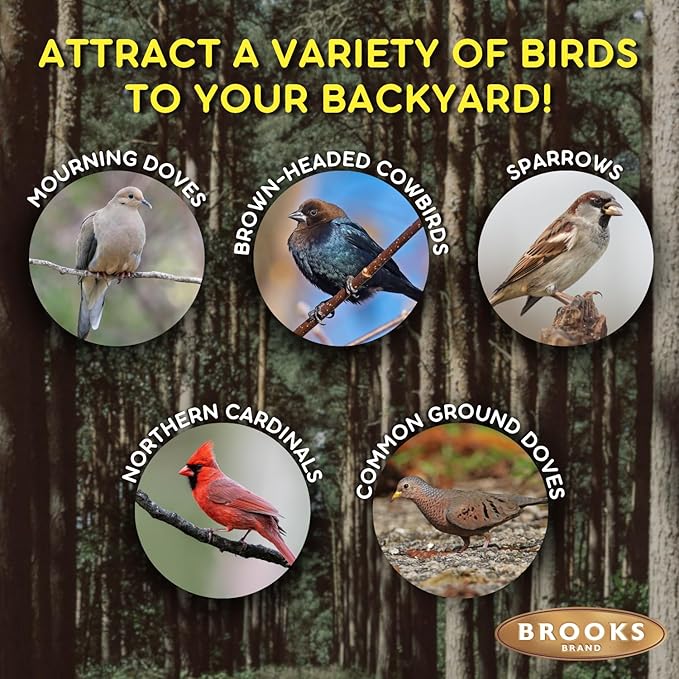 Brooks Brand Birds of a Feather Deluxe Dove Food, Pigeon Food, Mourning Dove Outdoor Bird Seed, Dove Bird Seed, Comida para Palomas, Made in USA, 8 lbs