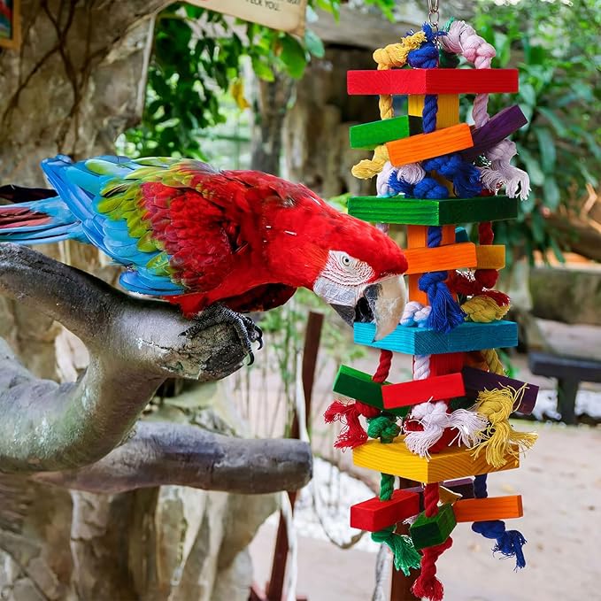 Soulchen 4 Pcs Extra Large Bird Parrot Toy Set Natural Wooden Chewing Toy, Rattan Ball, Wood Nut Loofah String (Bagged) for Large Macaws, African Grey, Amazon Parrots (Colorful Ring)