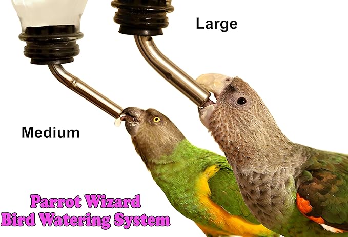 Parrot Wizard Bird Watering System (Medium)