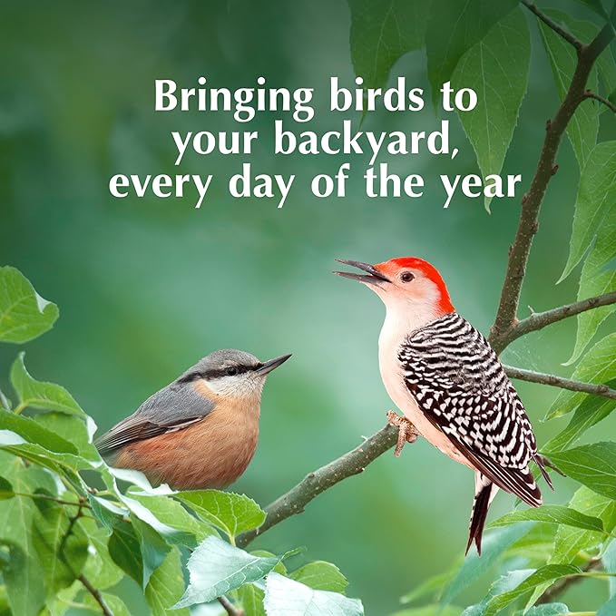 C&S Peanut Suet Treat, Suet Cakes for Wild Birds Including Nuthatches, Woodpeckers and Chickadees, Pack of 8