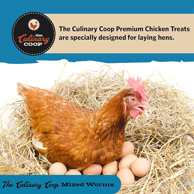 Fluker's Culinary Coop Bulk Dried Mealworms & Soldierworms, 5lbs-Premium Organic Non-GMO Dried Worm Mix for Chickens-High Protein & Omega 3 Chicken Feed for Wild Birds & Chicken Treats for Laying Hens