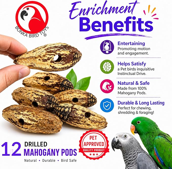 Bonka Bird Toys 3410 Drilled Mahogany Pods Shreddable Foraging Bird Toy with Natural Materials Hanging Cage Toy 9" for Small to Medium Parrots Budgie Cockatiel Conure Chewing Enrichment (Pack of 12)