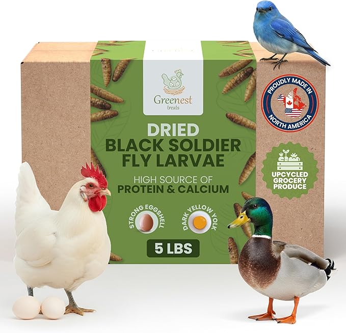 Black Soldier Fly Larvae for Chickens & Ducks – 5lb Dried Worms & Grubs – High Protein & Calcium Mealworms Alternative – Dried Black Fly Larvae for Chickens Bulk – Non-GMO, Farmed in North America