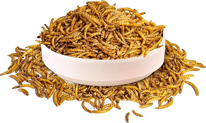 MTART 600g Dried Mealworms Treat for Chicken, 100% Natural Non-GMO High Protein Organic Chicken Feed for Birds, Ducks, Layer Hens