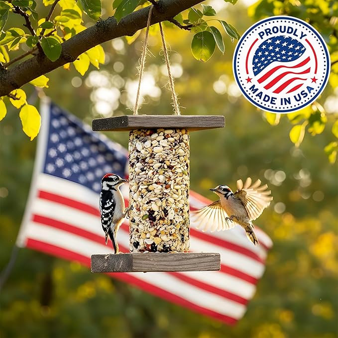Woodpecker Bird Seed Cylinders with Hole – Premium Woodpecker Food Blend with Sunflower Chips, Peanuts & Suet – Natural High Energy Bird Seed, No Filler, No Shell, No Mess – USA Made (6" x 7.75")