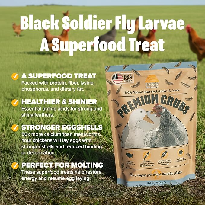 Eaton Pet and Pasture Premium Grubs, USA Grown Dried Black Soldier Fly Larvae, High Calcium Treat for Chickens, Ducks, Wild Birds (5 LB)