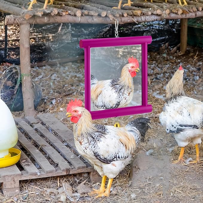 Sadnyy Extra Large Chicken Mirror Toys Hanging Swing Double Side Mirror with Bell Wooden Pecking Toy for Hens Birds Parrots Coop Roosters Enrichment Toy for Poultry(Square, Rose Red, 1pcs)