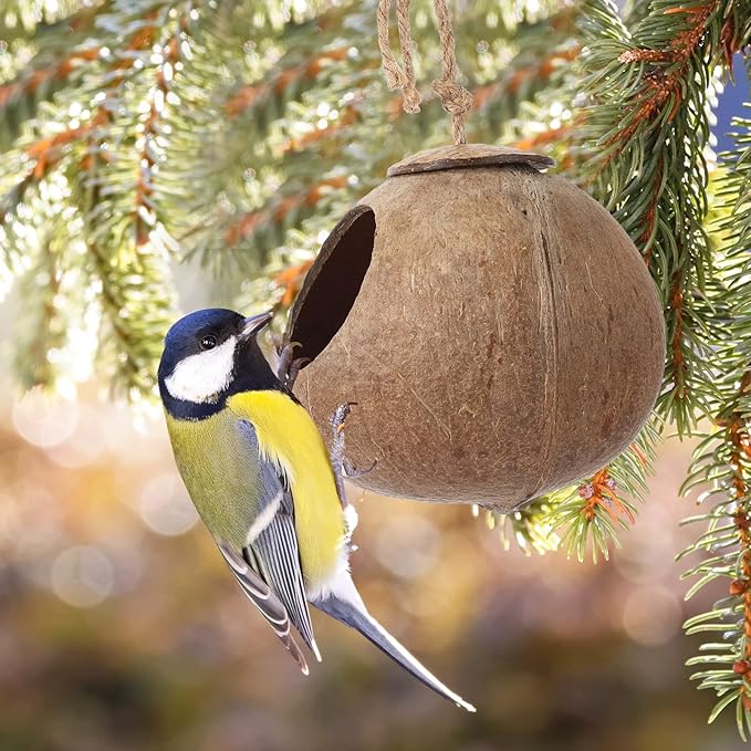 Skylety 3 Pcs Coconut Bird Nest Hut Hanging Bird House Coconut Hide with 6.9 Feet Fake Vines Coconut Fiber Shell Small Bird Cage Accessories for Parrot Parakeet Canary Reptile Crested Gecko Hamster
