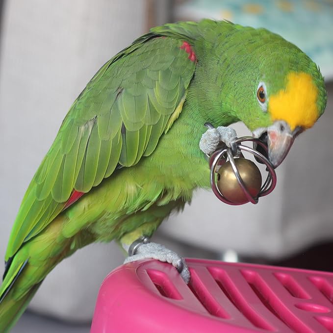 Fosrion Heavy Duty Stainless Steel Bird Toy for Small and Medium-sizid Parrots - Chew-Proof Foraging Ball with Bell for Macaws, Cockatoos, African Greys (Small)
