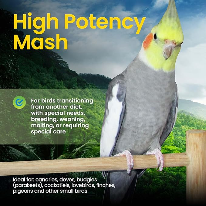 Harrison's Bird Foods High Potency Mash- Certified Organic, Non-GMO, Minimally Processed Nutrient-Rich Formula for Birds with Special Needs, Molting, Breeding, or Young Birds Under 1 Year 454g / 1lb