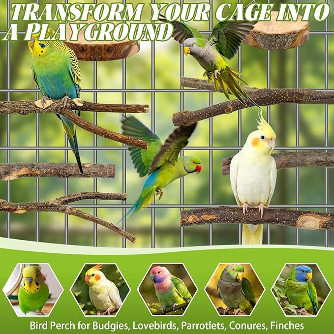 8 PCS Bird Perch Set for Cage - Natural Apple Wood Platforms & Hardwood Branches for Parakeets, Budgies, Cockatiels - Small Bird Habitat Gym, Climbing Stand & Safe Chew Toys