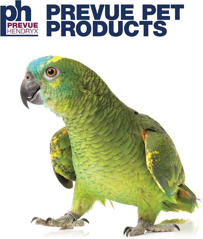 Prevue Pet Products Small Parrot Playstand with Wheels, Bird Stand Activity Play Center with Perches and Ladders, Indoor Outdoor Playground for Birds with Swing, Black Hammertone Finish