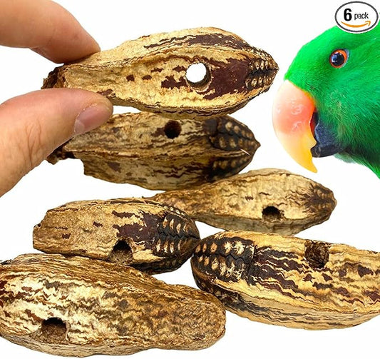 Bonka Bird Toys 3410 Drilled Mahogany Pods Shreddable Foraging Bird Toy with Natural Materials Hanging Cage Toy 9" for Small to Medium Parrots Conure Cockatiel Budgie Chewing Enrichment (Pack of 6)