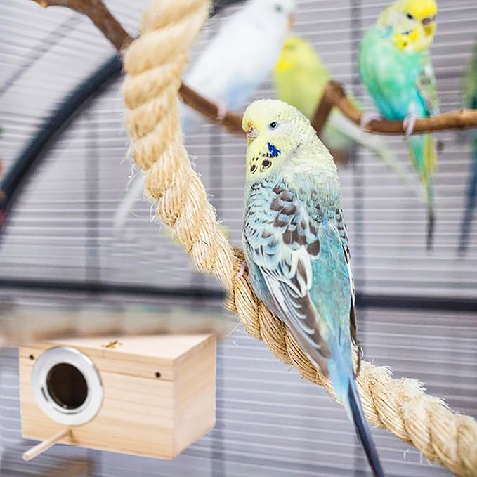 Hiceeden 2 Pack Parakeet Nest Box, Natural Wood Bird Nesting Box, Small Bird House Breeding Box for Budgie Lovebirds, Cockatiel, Parrots Mating, Aviary, 7.7×4.7×4.7 Inches