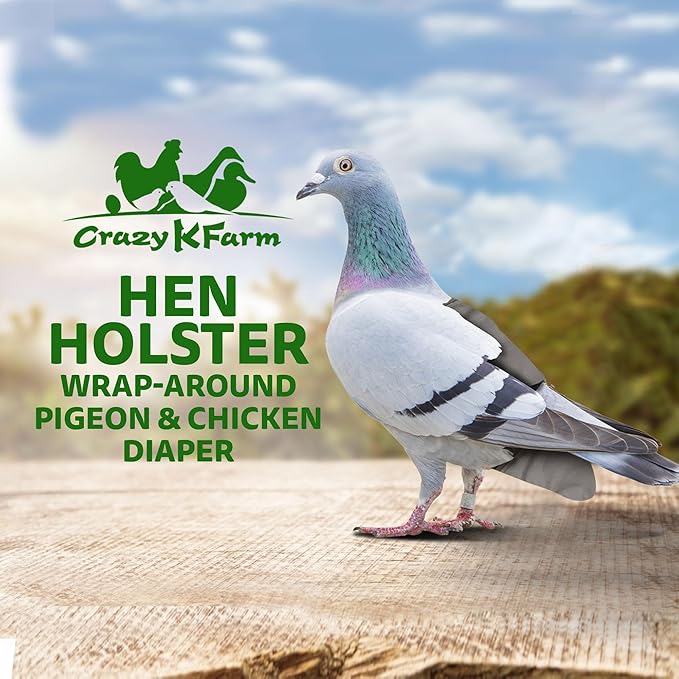 Hen Holster Premium Starter Kit - Bird Diaper, Wrap Around for Larger Pigeons, Small Breed Hens & Roosters - Leak-Proof, Comfortable Bird Harness with Sewn-in Liner & Hook & Loop Closure - XS, Gray