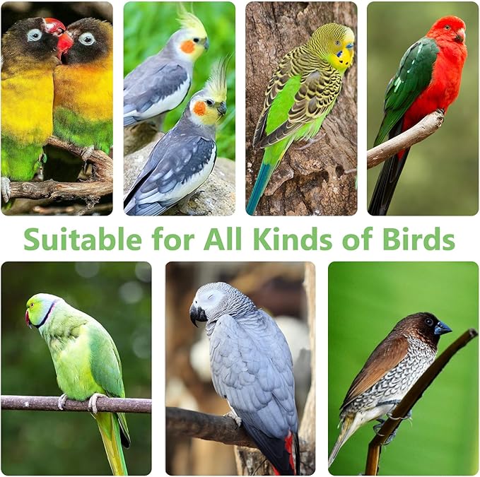 Cork Bark Perch for Birds 16"X12" Natural Cork Chewing Toy 2 PCS Flat Budgies Bark Seat Board Wood Bark Background Decor Panel Birdcage Accessories for Parakeet Lovebirds Cockatiels Conures