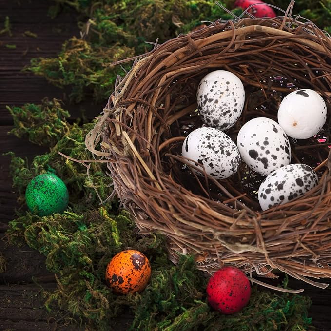 Toddmomy DIY Craft Mini Nest Set Pastel Easter Egg Decorations Bird Nest Ornament