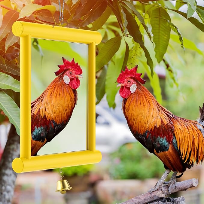 Sadnyy Extra Large Chicken Mirror Toys Hanging Swing Double Side Mirror with Bell Wooden Pecking Toy for Hens Birds Parrots Coop Roosters Enrichment Toy for Poultry(Square, Yellow, 1pcs)