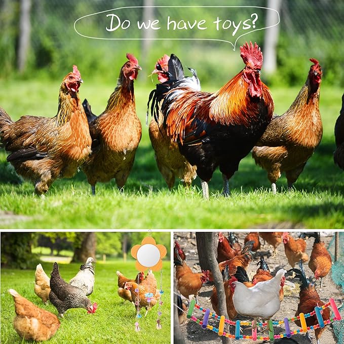 Chicken Toys for Coop 7PCS, KAKUNM Chicken Xylophone, Swing Set, Mirror Toy, Flexible Ladder, Vegetable String Bag and Hanging Feeder