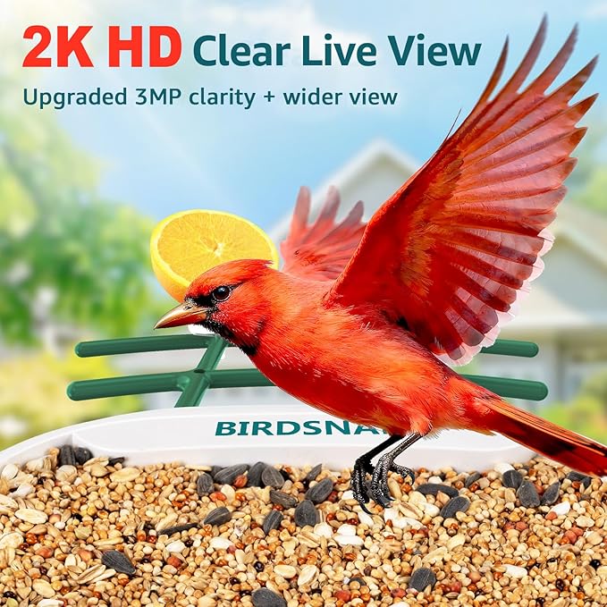 birdsnap® TUC Bird Feeder with Camera 2K HD Live with 32GB Card Auto Detect & Notify AI Identify Camera Birds Feeders Solar Powered Wireless Outdoors Backyard Gift for Mom Dad Birds Lover, 2.4G WiFi