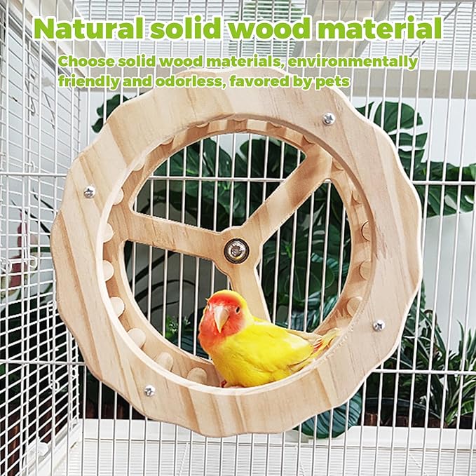 Bird Stand Perch Toy,Interactive Rocking Parakeet Toy and Perch, Wooden Exercise Wheel Cockatiel Toy, Intelligence Puzzle Enrichment Toys,Bird Playground Play Stands for Conure Budgie(D)