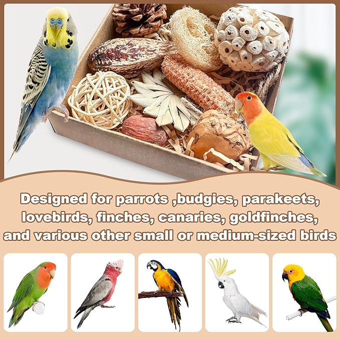 2 in 1 Parrot Toys, Parakeet Foraging Box DIY Hanging String with Comes with 2 Hooks Bird Toy for Parakeets,Cockatiels,Conures,Love Birds Cage Accessories for Small to Medium Birds