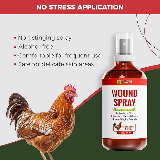 SHEVAT VITAMINS Silver Wound Spray for Chickens & Birds – Gentle Skin Relief for Scrapes, Cuts, Rashes & Irritation – Non-Stinging, Alcohol-Free, Safe for Feathers & Skin – 120ml (4oz)