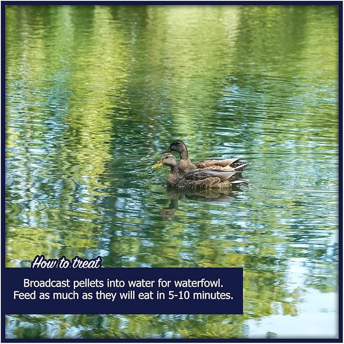 Natural Waterscapes Waterfowl Feed 20 lb Bag | Floating Pellets for Duck, Swan, Goose | for Wild and Pet Ducks