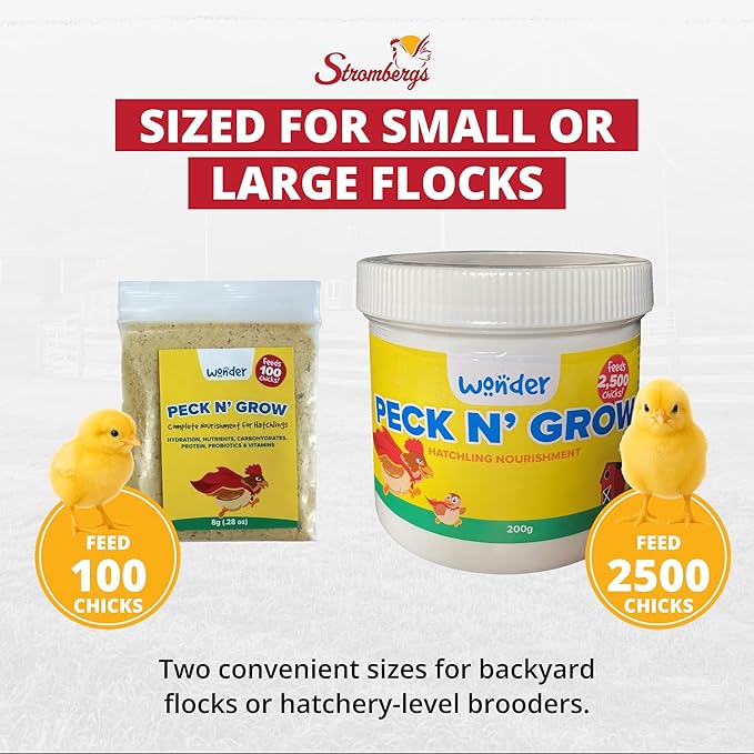 Stromberg's Peck n' Grow, Balanced Hatchling Nutrition Supplement with Probiotics and Essential Vitamins, Instinct-Promoting Chick Starter Formula for Strong Early Growth, 0.28 oz Pack for 100 Chicks