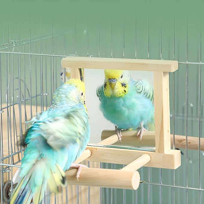 Natural Wood Bird Stand with Mirror, Perch and Swing Toy for Parakeets, Hummingbird, Lovebirds and Cockatoos (1 Pack)