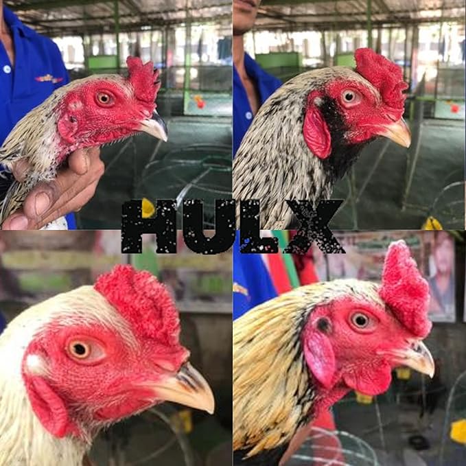 HULX Power MAX 100 Tablets, Long Term Strengher & Energy Formula Rooster Booster Vitamins Health Chicken Supplement Good Health, Build Muscle, Blood Feed All Poultry Bird Hen Food
