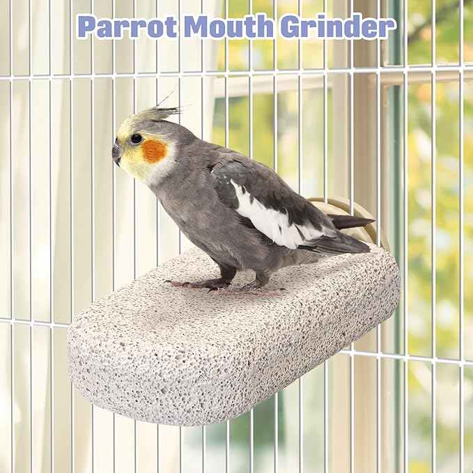 BNOSDM 6 Pcs Large Natural Parrot Beak Grinding Stone Parakeet Chew Toy Calcium Parrot Perch Stand Bird Cage Accessories for Budgies, Cockatiels, Conures, Lovebirds, Canary
