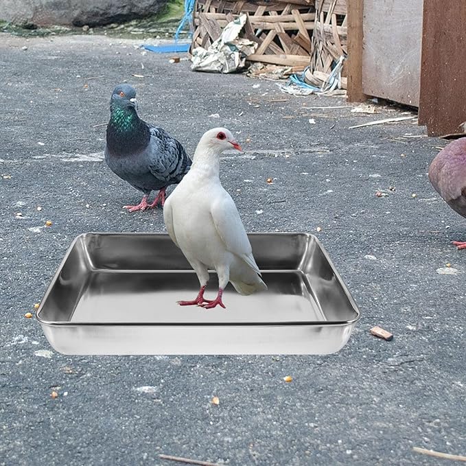iplusmile Birdbath Bowl, Bird Bath Dish Stainless Steel Bird Bath Tray Sturdy Pigeon Bath Tub Rectangle Birdbath Shower Tray for Parrot Parakeets Cleaning Supplies (Silver)