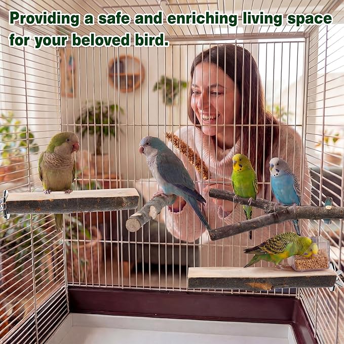 Saillong 4 Pack Natural Wood Bird Perch, Multi Branch Parrot Stand, Toy for Parakeet, Cockatiels, Conures, Lovebirds, Long Tailed Small Parrots Climbing Chewable Standing Cage Accessories