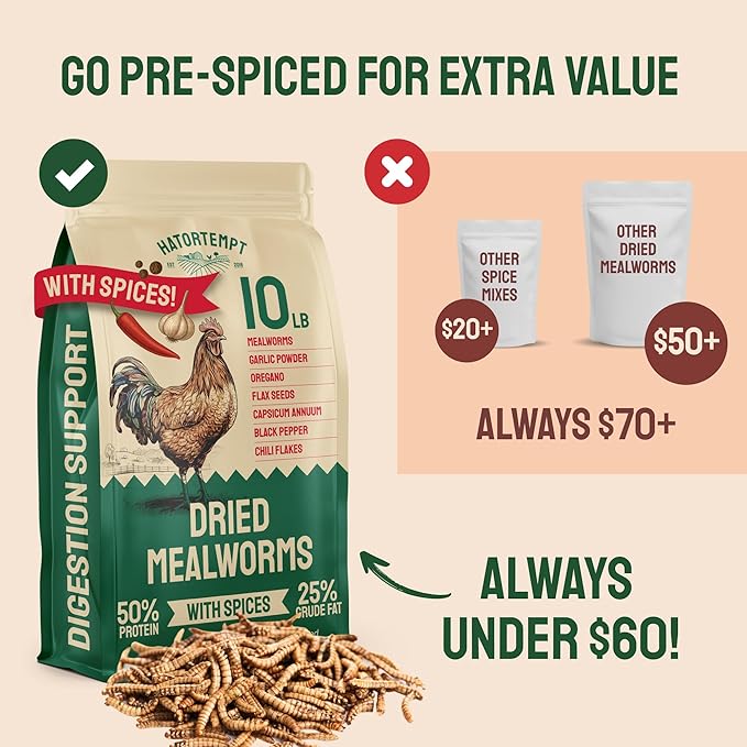 Hatortempt Spiced Bulk Dried Mealworms - 10 Lb Bag - Dried Mealworms for Chickens & Ducks - Chicken Food Coated with Chili Mix Digestion Supplement