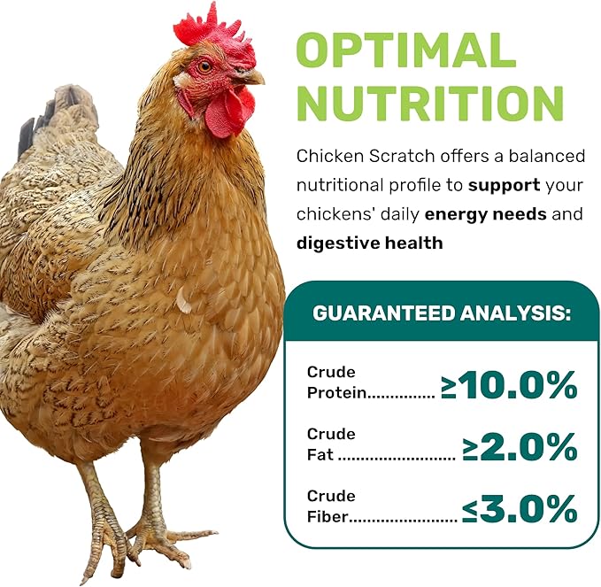 LEACH GRAIN & MILLING CO. Chicken Scratch 5 Lbs, Natural Chicken Treats for Laying Hens - Healthy Whole Grains, Chicken Food and Supplies for Daily Energy, Growth & Digestive Health