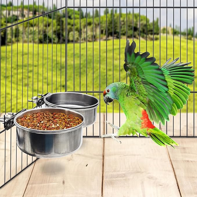PINVNBY 2pcs Stainless Steel Bird Bowl - XL Water Dish for Parrot, Parakeet, African Greys, Conure, Cockatiels, Lovebird, Budgie, Chinchilla