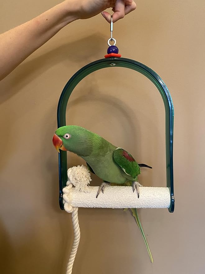 Polly's Arch Swing-Nail Trimming Bird Swing for Cages-Great for Parrots Including Parakeets, Cockatiels, Amazons, Macaws, and Cockatoos. (Large)