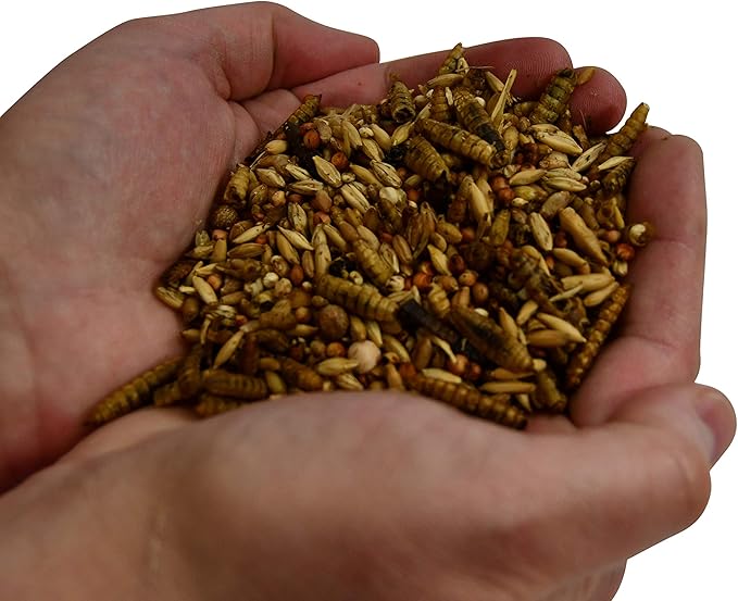 Homegrown Bugs Premium Non-GMO Black Soldier Fly Grubs and Grains, Poultry Treat Supplement, USA Grown (3LB)