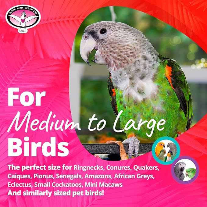 Super Bird Creations SB50013 Favorite Bird Foot Toys Assortment - Engaging Variety Pack for Medium to Large Birds - Ringnecks Quakers Parros - Stimulating Foot Exercise & Satisfies Foraging Behavior