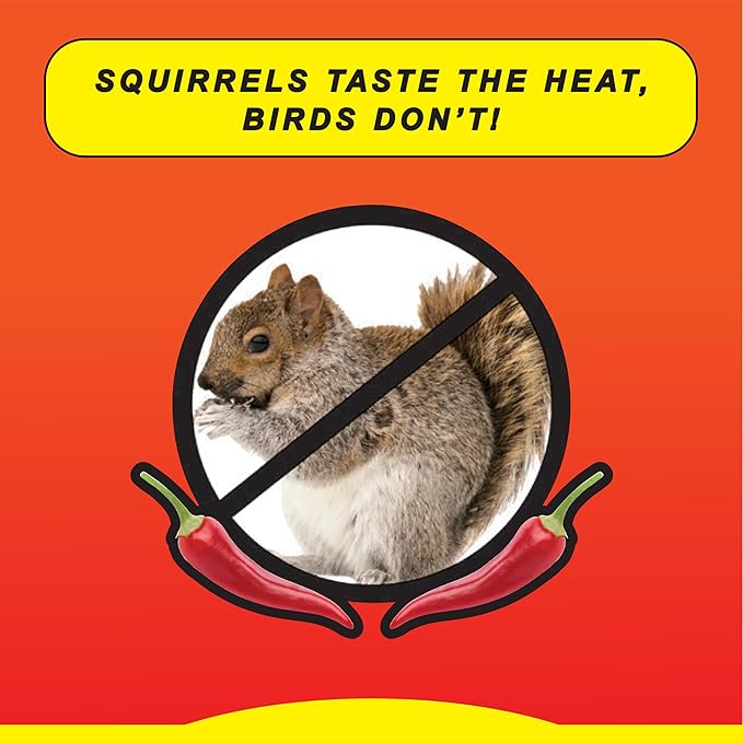 Wild Delight Sizzle N' Heat Bird Food, 5 lb (372050) (Pack of 2)