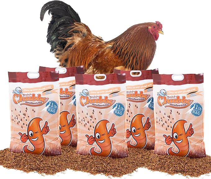 Chubby Dried Mealworms | 55 lbs | High-Protein Non-GMO Treats for Chickens, Ducks, Wild Birds & Backyard Pets