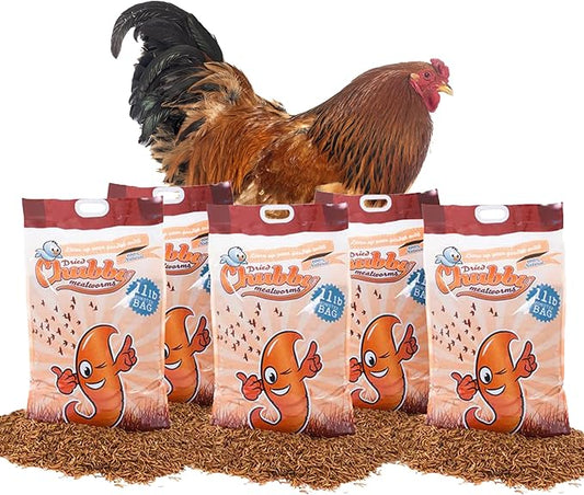 Chubby Dried Mealworms | 55 lbs | High-Protein Non-GMO Treats for Chickens, Ducks, Wild Birds & Backyard Pets