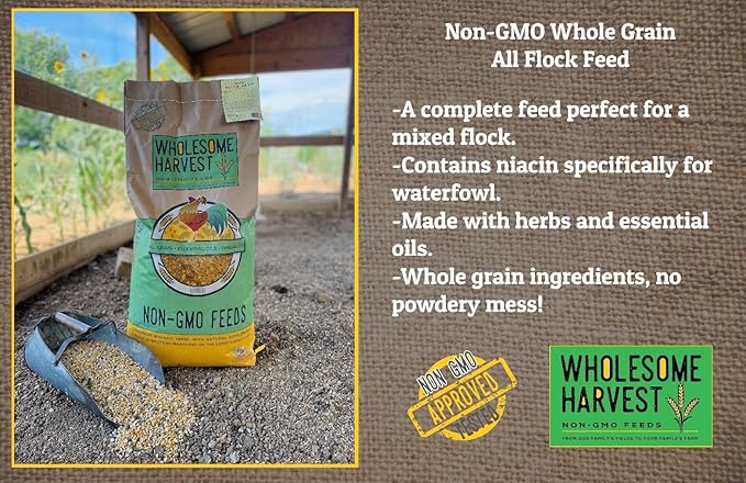 Non-GMO Soy-Free All Flock Feed Whole Grain 40 lbs for Duck, Turkey, Geese and Chicken Feed