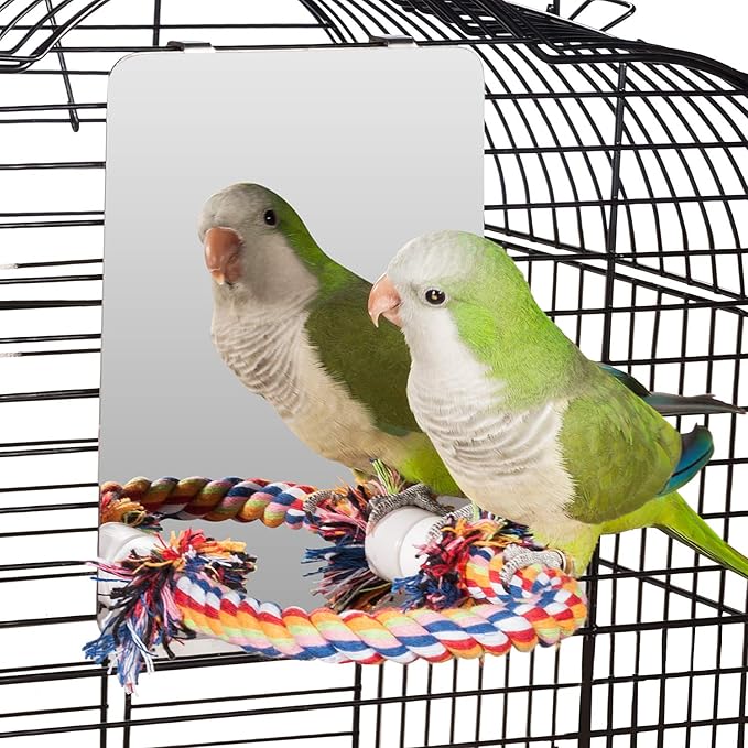 Colorday 7" Bird Mirror for cage with Rope Perch, Bird Swing, Parrot Cage Toy for Parakeet Budgie African Grey Conure Cockatiel Lovebird Finch Canarie, Medium